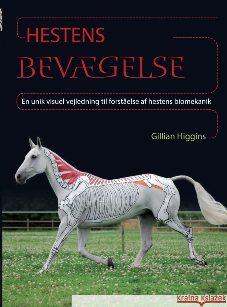 Hestens Bevægelse