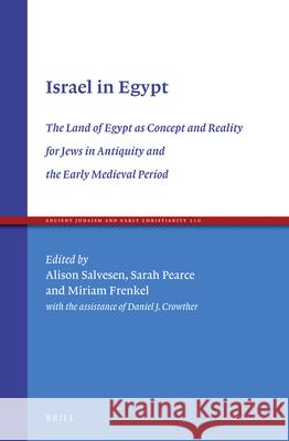 Israel in Egypt: The Land of Egypt as Concept and Reality for Jews in Antiquity and the Early Medieval Period