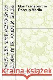 Gas Transport in Porous Media