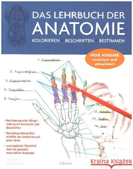 Das Lehrbuch der Anatomie : Kolorieren - Beschriften - Bestimmen. Bestimmung aller Körperteile durch Kolorieren und Beschriften. Kenntnisse überprüfen mithilfe von Antworten auf jeder Seite. Anschauli