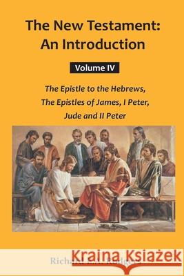 The New Testaments: An Introduction Volume IV