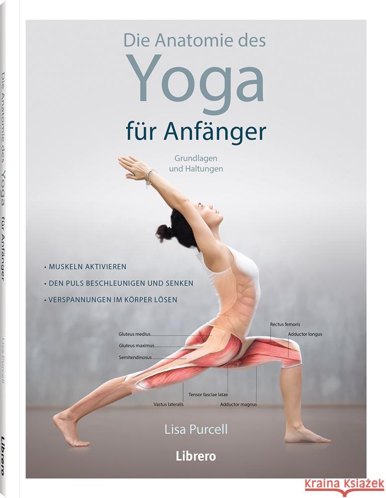 Die Anatomie des Yoga für Anfänger