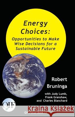 Energy Choices: Opportunities to Make Wise Decisions for a Sustainable Future