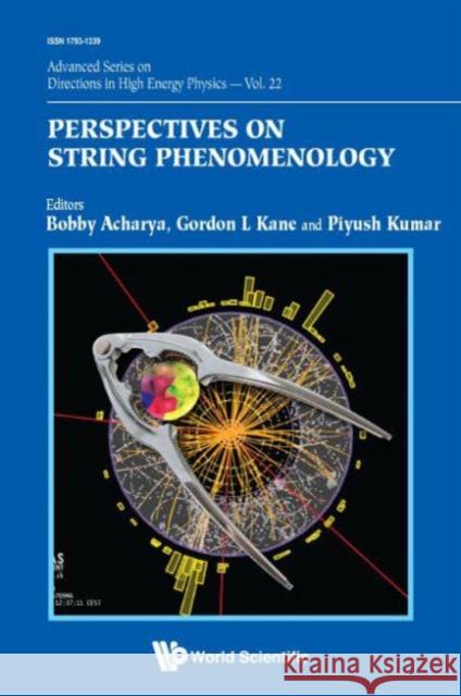 Perspectives on String Phenomenology