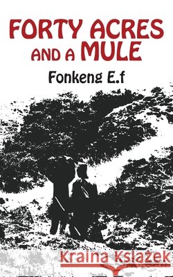 Forty Acres and a Mule