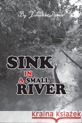 Sink in a Small River