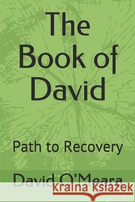 The Book of David: Path to Recovery