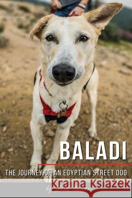 Baladi: The Journey of an Egyptian Street Dog