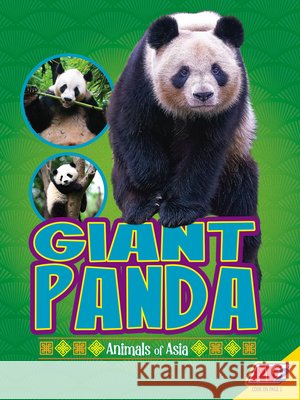 Giant Panda