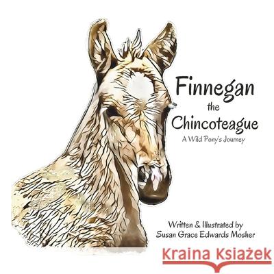 Finnegan the Chincoteague: A Wild Pony's Journey