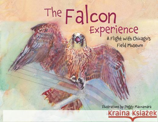 The Falcon Experience