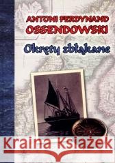 Okręty zbłąkane TW Antoni Ferdynand Ossendowski 9788375652185 LTW - książka
