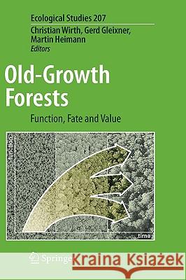 Old-Growth Forests: Function, Fate and Value Wirth, Christian 9783540927051 Springer - książka