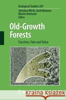 Old-Growth Forests: Function, Fate and Value Wirth, Christian 9783642242335 Springer - książka