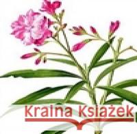 Oleandr Marcin Kurek 9788074741081 Triáda - książka