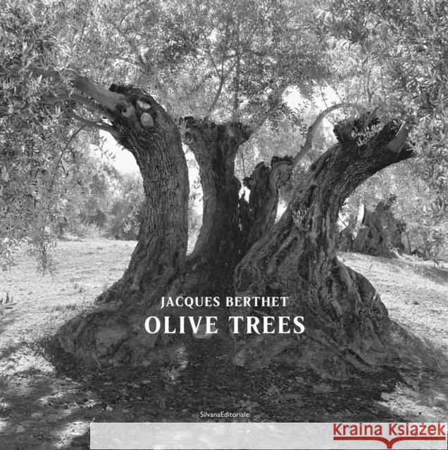Olive Trees: Jacques Berthet  9788836645831 Silvana - książka
