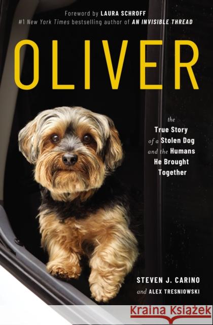 Oliver: The True Story of a Stolen Dog and the Humans He Brought Together Carino, Steven J. 9781400223237 Thomas Nelson - książka