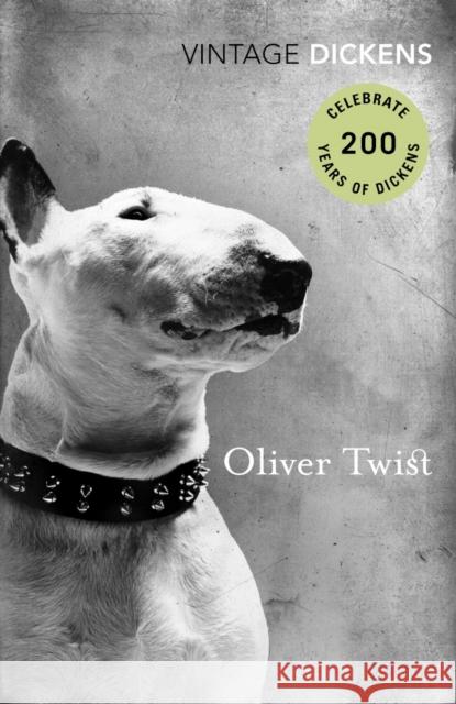 Oliver Twist Charles Dickens 9780099511939  - książka