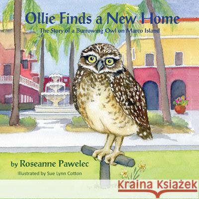 Ollie Finds a New Home, The Story of a Burrowing Owl on Marco Island Pawelec, Roseanne 9781614933830 Peppertree Press - książka