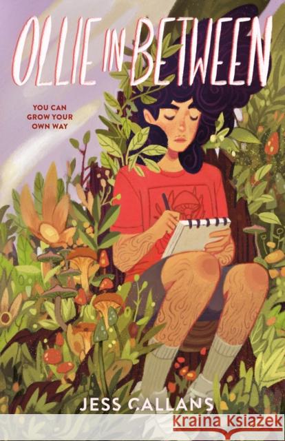 Ollie In Between Jess Callans 9781250331342 Feiwel & Friends - książka