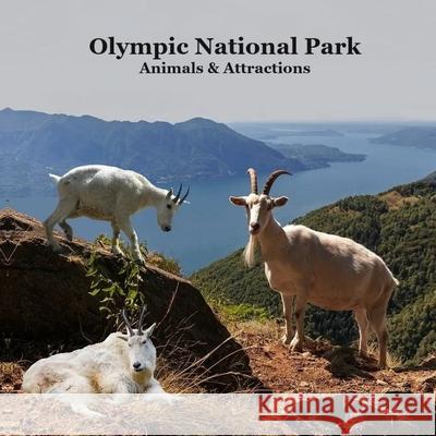 Olympic National Park Animals and Attractions Kids Book: Great Kids book about the Animals and Attractions in Olympic National Park Kinsey Marie Billy Grinslott 9781965098202 Olympic National Park Animals and Attractions - książka