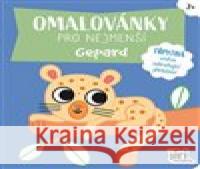 Omalovánky pro nejmenší Gepard  8595593844916 Jiri models - książka