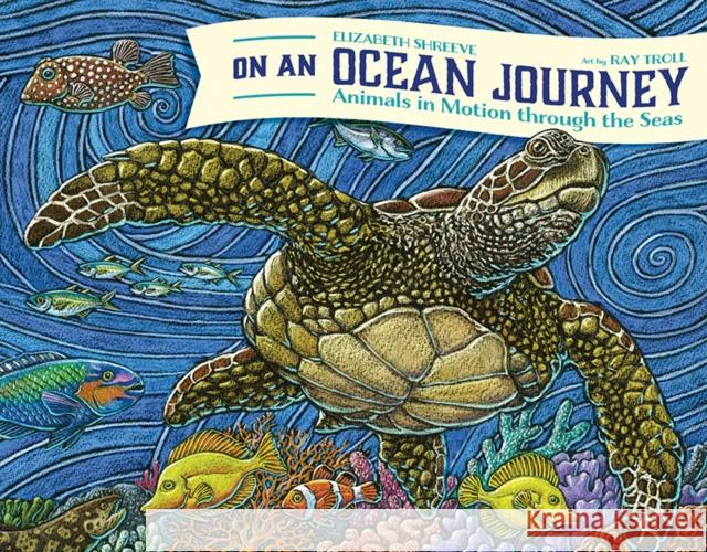 On An Ocean Journey: Animals in Motion through the Seas Elizabeth Shreeve 9781632175403 Little Bigfoot - książka