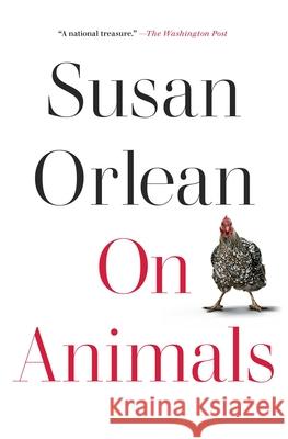 On Animals Susan Orlean 9781982181543 Avid Reader Press / Simon & Schuster - książka