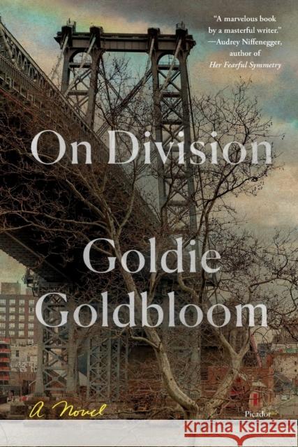 On Division Goldie Goldbloom 9781250757968 Picador USA - książka