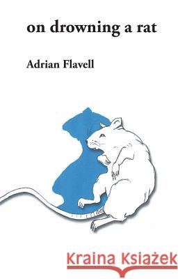 on drowning a rat Flavell, Adrian 9781921691669 Picaro Press - książka