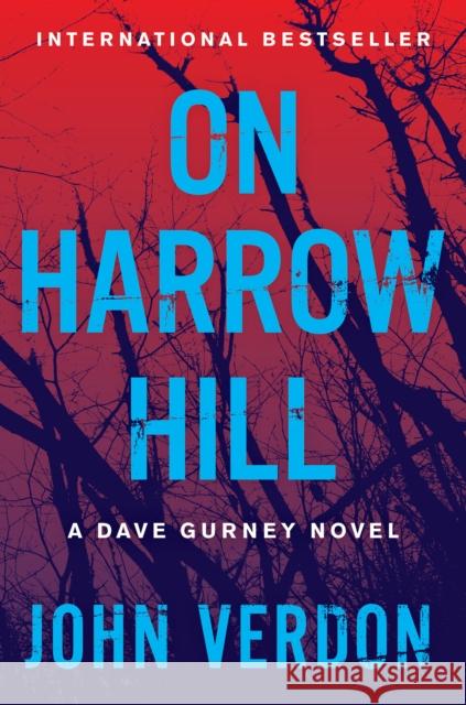 On Harrow Hill: A Dave Gurney Novel John Verdon 9781640093102 Counterpoint - książka