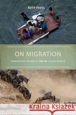 On Migration: Dangerous Journeys and the Living World Ruth Padel 9781619024335 Counterpoint LLC - książka