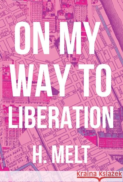 On My Way to Liberation  9781608465927 Haymarket Books - książka
