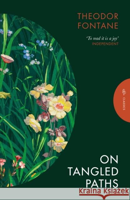 On Tangled Paths Theodor Fontane 9781805331612 Pushkin Press - książka