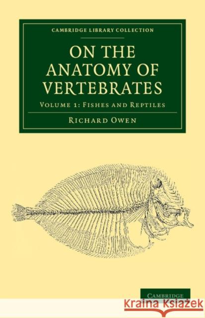 On the Anatomy of Vertebrates Richard Owen 9781108038256 Cambridge University Press - książka