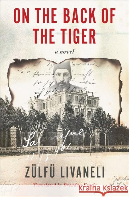 On The Back Of The Tiger: A Novel Brendan Freely 9781635423914 Other Press (NY) - książka