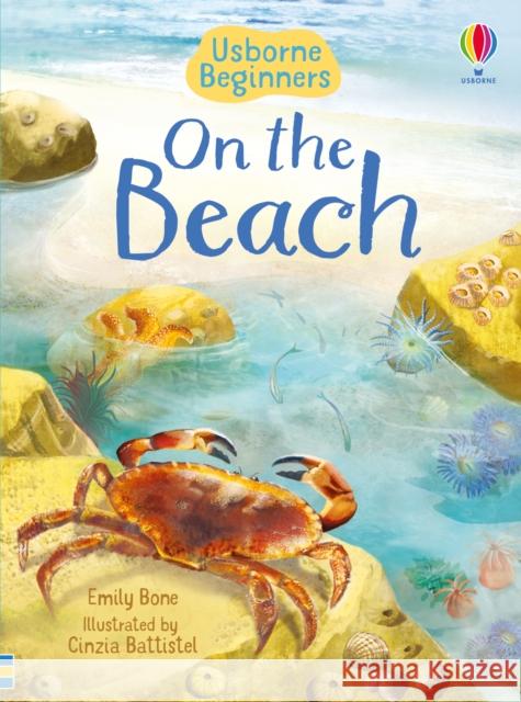 On the Beach Emily Bone Cinzia Battistel  9781474979429 Usborne Publishing Ltd - książka