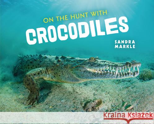 On the Hunt with Crocodiles Sandra Markle 9781728456232 Lerner Publications (Tm) - książka