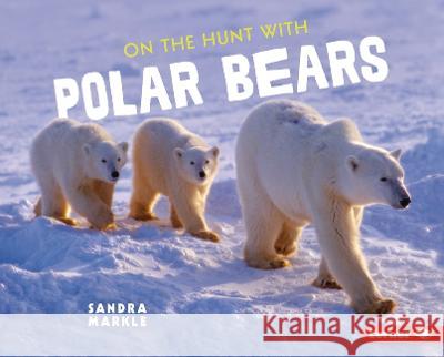 On the Hunt with Polar Bears Sandra Markle 9781728456287 Lerner Publications (Tm) - książka