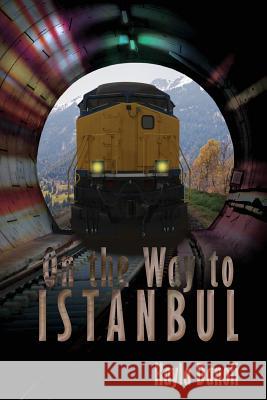 On the Way to Istanbul Kayla Danoli 9780975028780 Denise Neville - książka