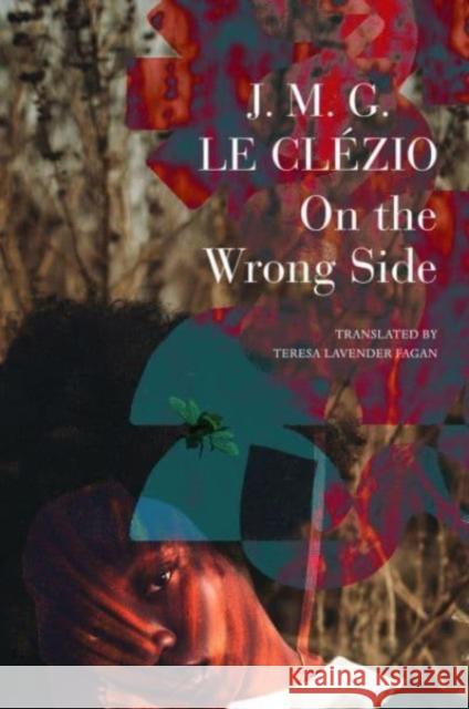 On the Wrong Side J. M. G. L Teresa Lavender Fagan 9781803093857 Seagull Books - książka