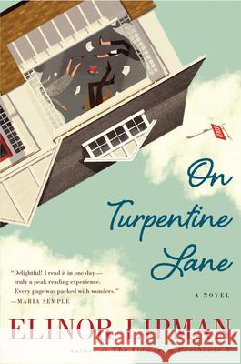 On Turpentine Lane Elinor Lipman 9781328745583 Mariner Books - książka