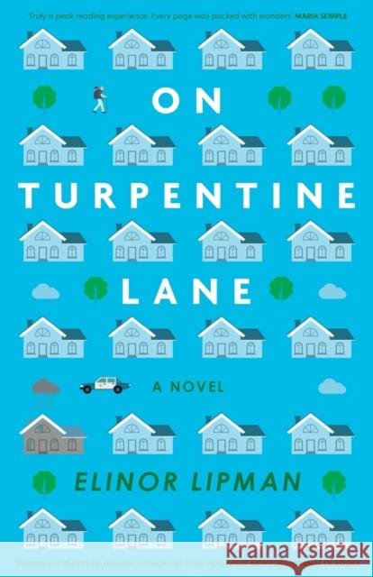 On Turpentine Lane Elinor Lipman 9781785632006 Eye Books - książka