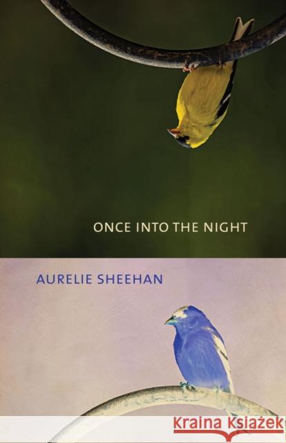Once Into the Night Aurelie Sheehan Laird Hunt 9781573660716 F2c - książka