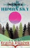 Once Upon a Human Sky S. K. Healy 9781739185527 S.K. Healy