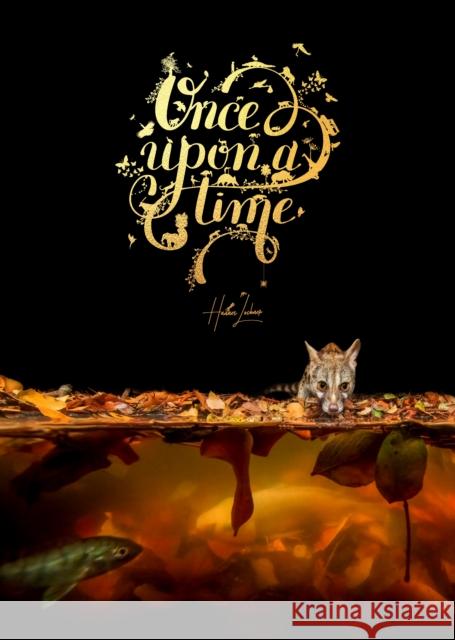 Once Upon a Time Hannes Lochner 9781776433186 HPH Publishing - książka