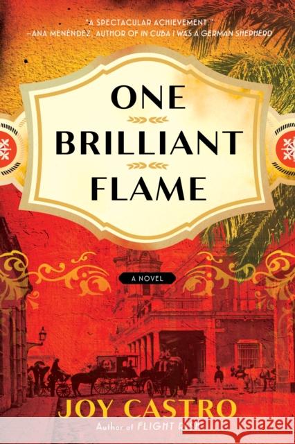 One Brilliant Flame: A Novel Joy Castro 9781542038041 Amazon Publishing - książka