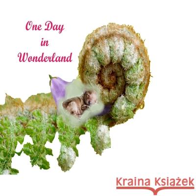 One Day In Wonderland: Magic of advanture in wonderland.Colorful Nature. Dg Aleecia Aien 9781086531039 Independently Published - książka