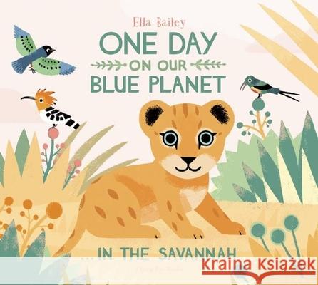 One Day on Our Blue Planet . . . in the Savannah Bailey, Ella 9781909263567 Nobrow Press - książka