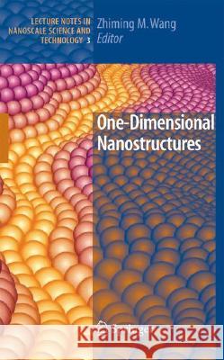 One-Dimensional Nanostructures  9780387741314 SPRINGER-VERLAG NEW YORK INC. - książka